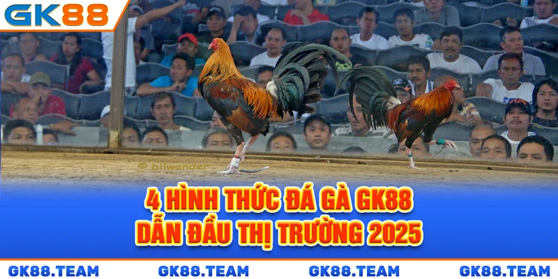 4-hinh-thuc-da-ga-gk88-dan-dau-thi-truong-2025