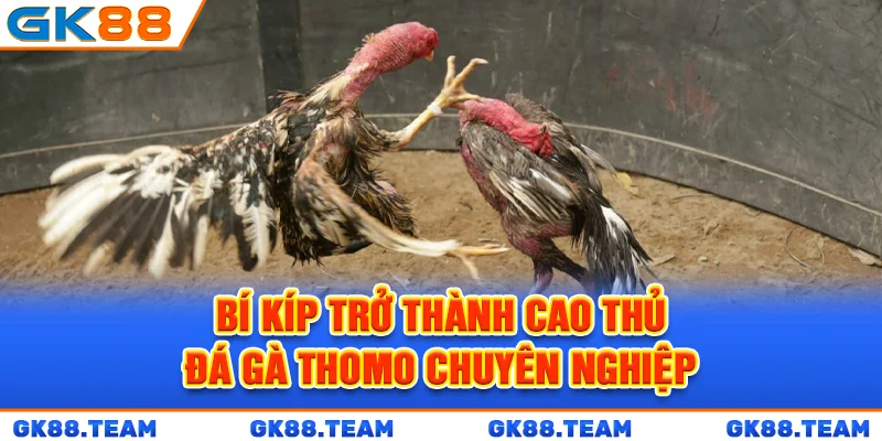 bi-kip-tro-thanh-cao-thu-da-ga-thomo-chuyen-nghiep