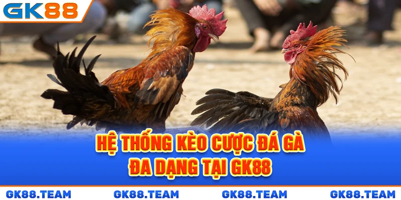 he-thong-keo-cuoc-da-ga-da-dang-tai-gk88