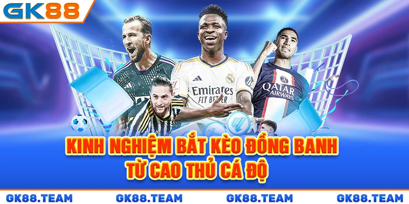 kinh-nghiem-bat-keo-dong-banh-tu-cao-thu-ca-do