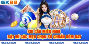 soi-cau-mien-nam-bat-mi-cac-meo-chon-so-chuan-hom-nay