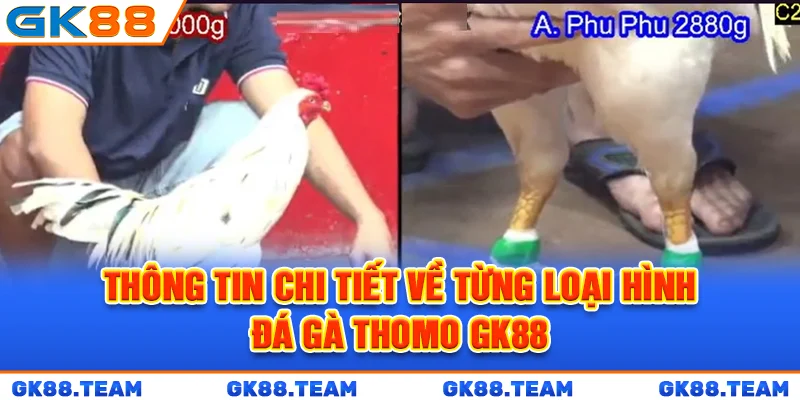 thong-tin-chi-tiet-ve-tung-loai-hinh-da-ga-thomo-gk88